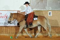 Armano Ranch Riding