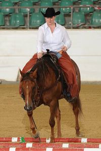 Joe Ranch Riding 2