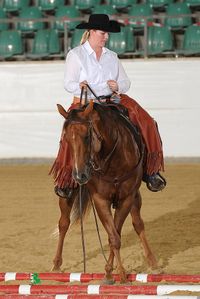 Joe Ranch Riding